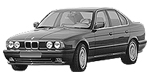 BMW E34 P0E51 Fault Code